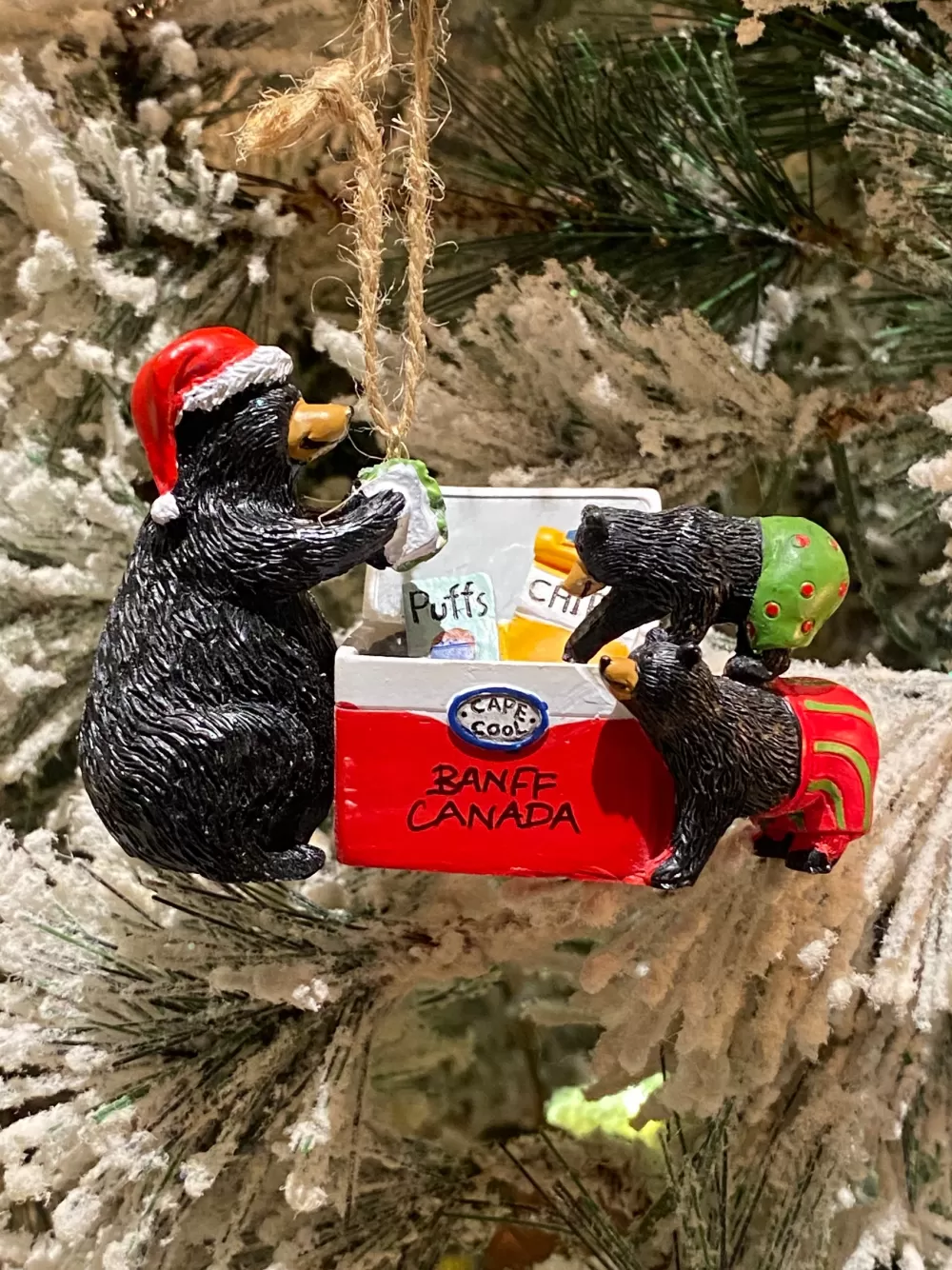 The Spirit of Christmas Banff And Canadiana | Bears>Cooler Raiding Black Bear