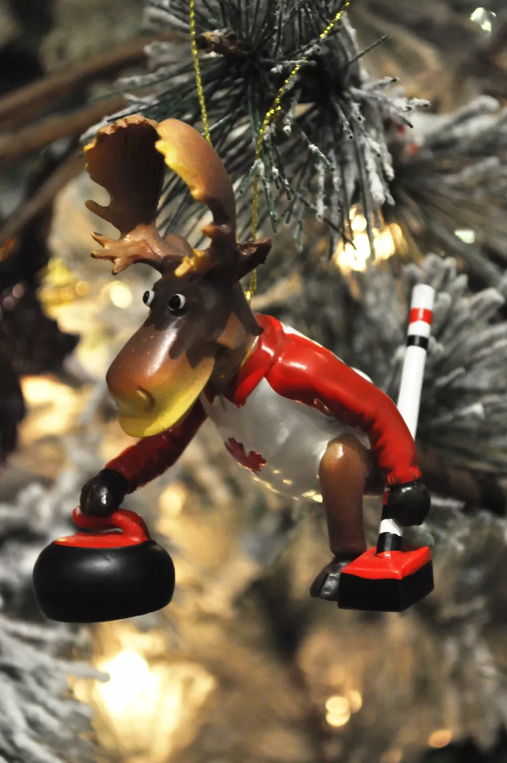 The Spirit of Christmas Banff And Canadiana | Moose>Curling Moose