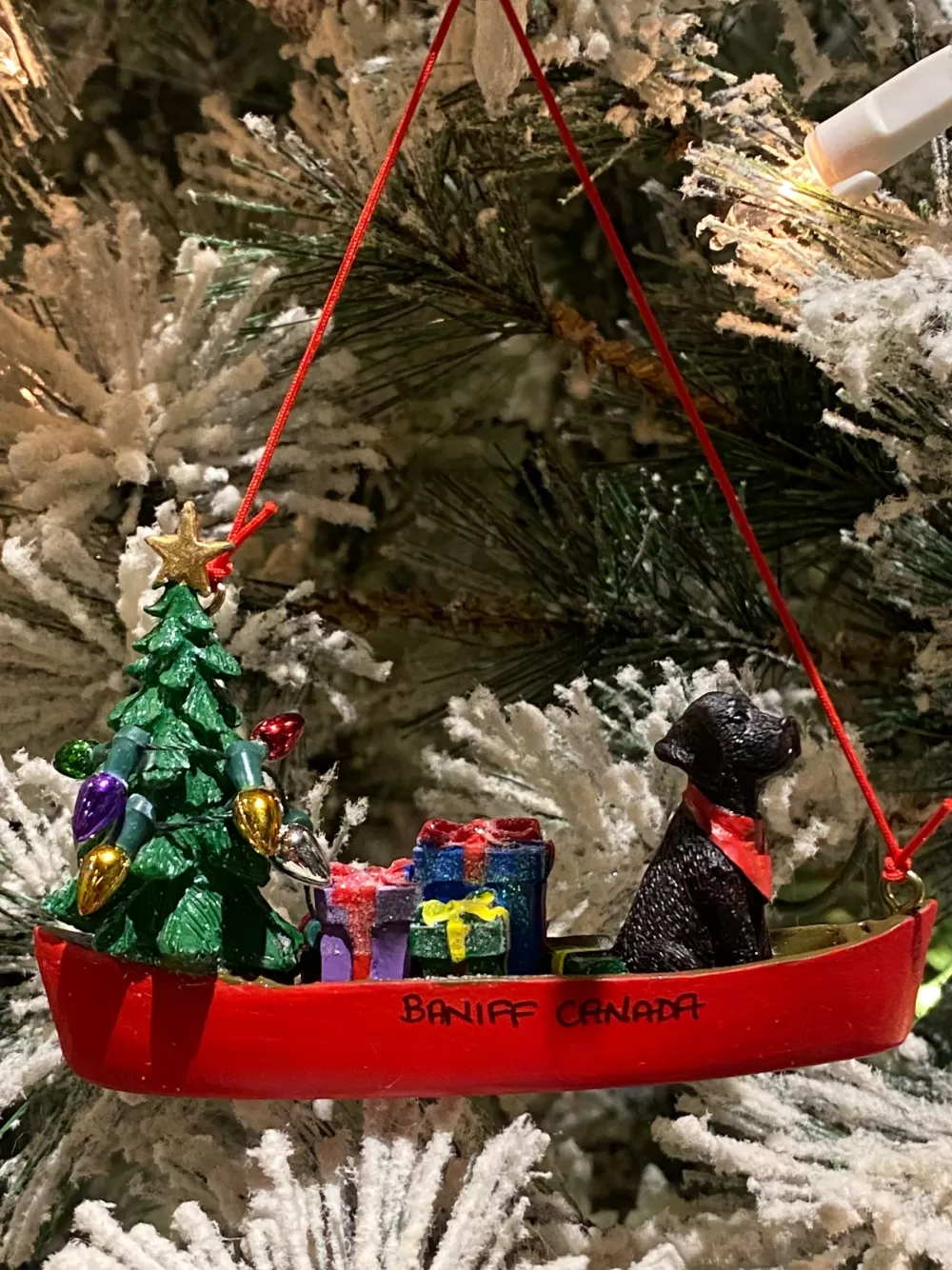 The Spirit of Christmas Banff And Canadiana | Paws And Claws>Dog In Canoe