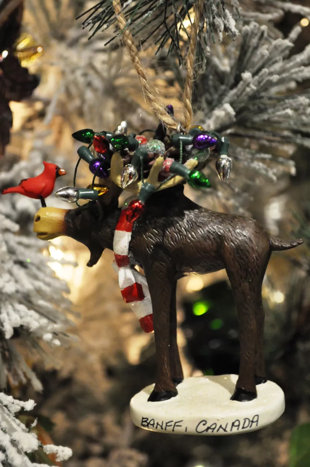 The Spirit of Christmas Banff And Canadiana | Moose>Moose & Lights Ornament