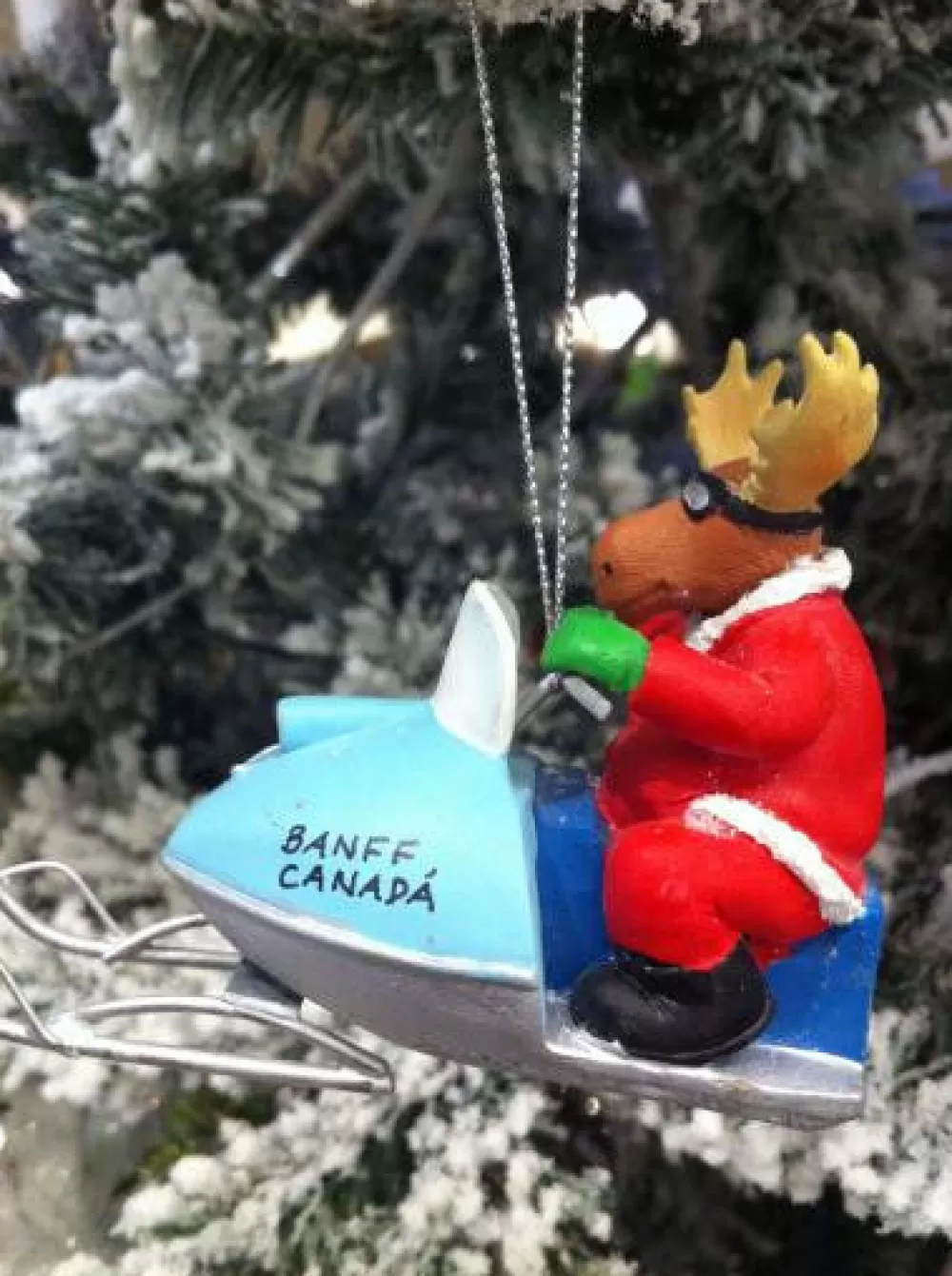 The Spirit of Christmas Banff And Canadiana | Moose>Moose On Snowmobile