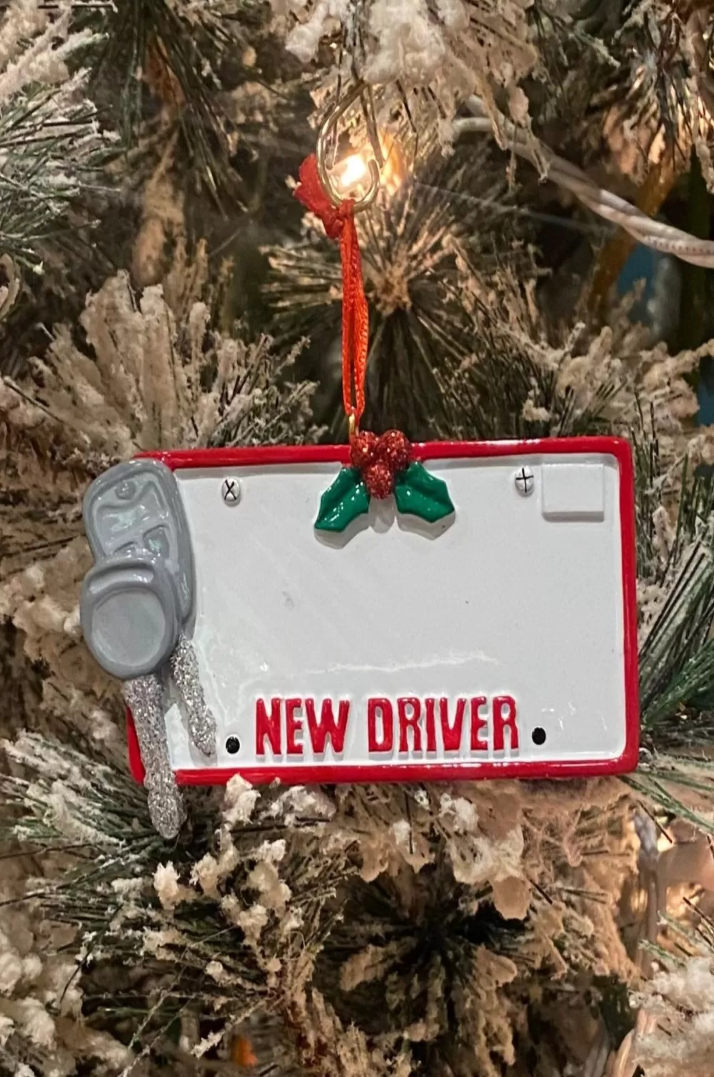 The Spirit of Christmas Occupations And Hobbies>New Driver