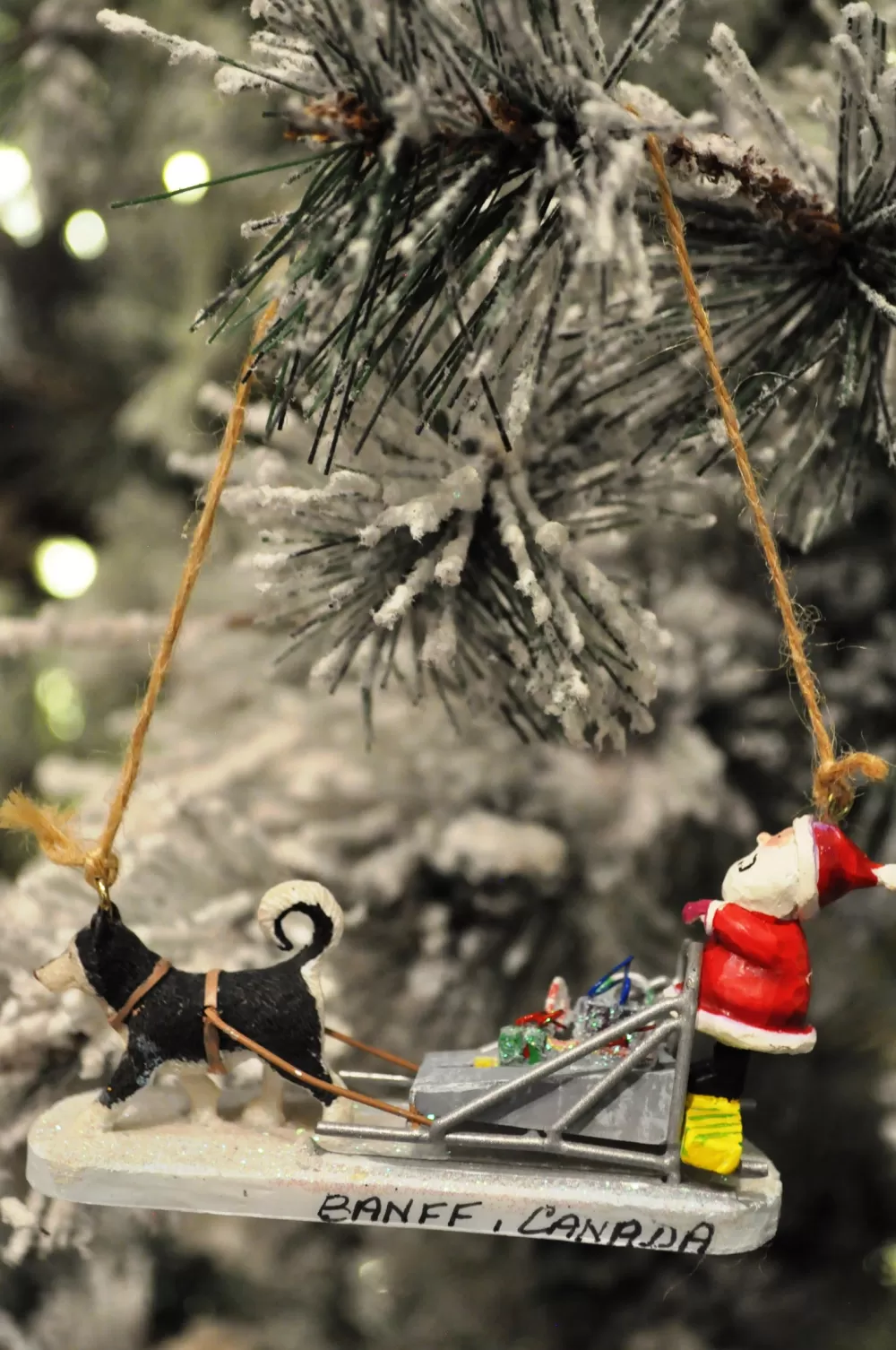 The Spirit of Christmas Banff And Canadiana>Santa On Dog Sled